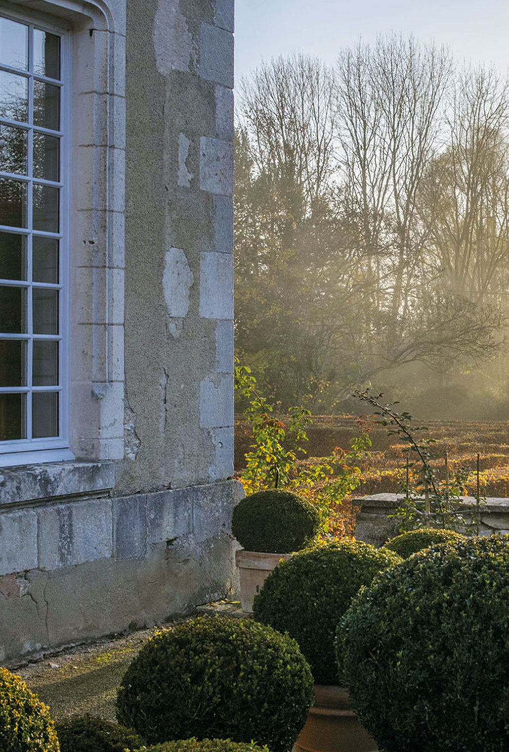 Château de PESSELIERES - Benoit de CHOULOT - Arborescence - Le château