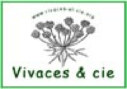 vicaces-cie