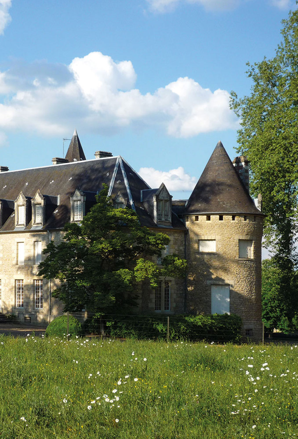 Château de VEUILLIN - Benoit de CHOULOT - Arborescence - Le château