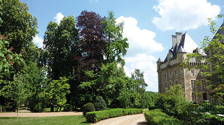 Château de VEUILLIN - Benoit de CHOULOT - Arborescence - Le château et parc