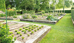 Château de LICHY - Benoit de CHOULOT - Arborescence - Parc et jardin