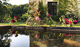 Maison forte de MOLLAROND - Benoit de CHOULOT - Arborescence - fleur et jardin2