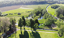 Château de Nonville - Benoît de CHOULOT - Arborescence - Domaine