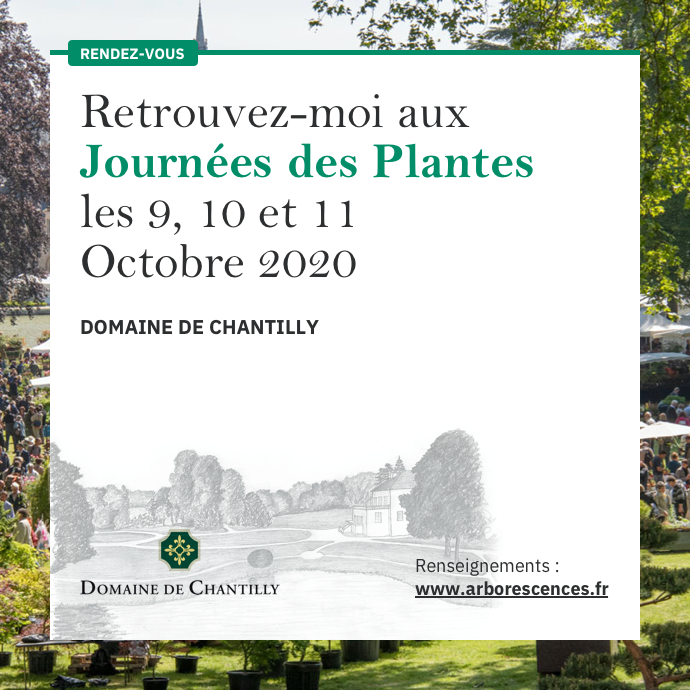 Chantilly post automne 2020