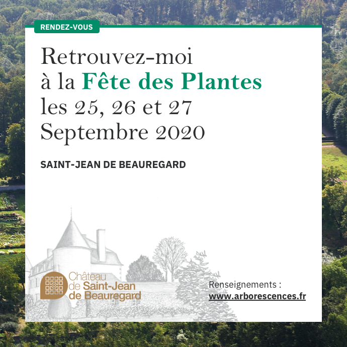 SJ2B post automne 2020