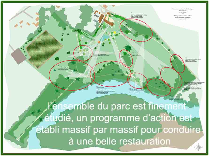après une vaste opération de nettoyage 150 arbres seront plantés