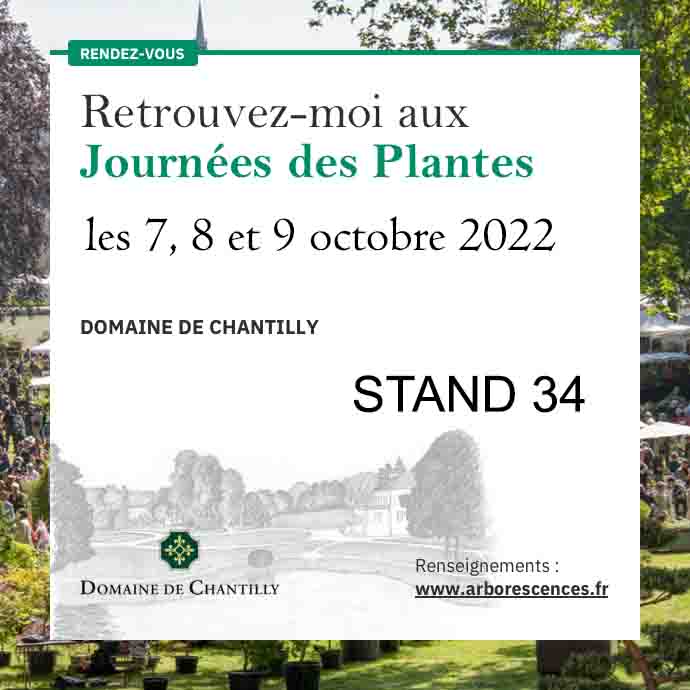 chantilly 10-22 stand34